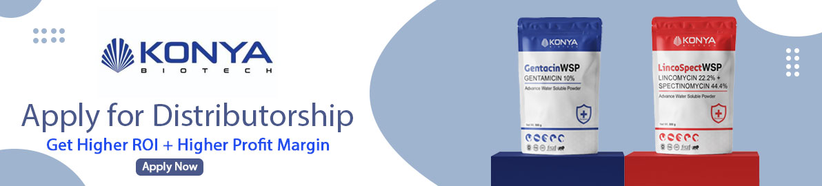 Sponsored Banner